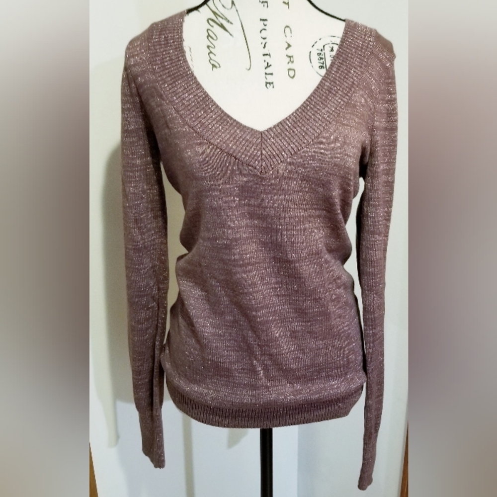 Express Pink Mauve Shimmer Vneck Longsleeve Banded Blouse Medium